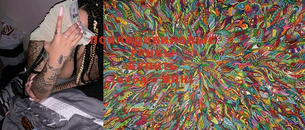 герыч Весьегонск