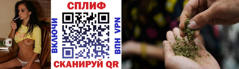 Каннабис семена  Купить где  Грайворон 